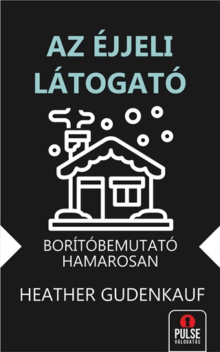 Heather Gudenkauf - Az jjeli Ltogat